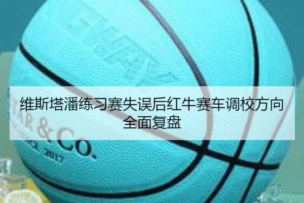 维斯塔潘练习赛失误后红牛赛车调校方向全面复盘 | FHSPORTS