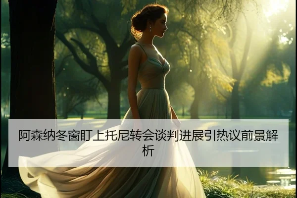 阿森纳冬窗盯上托尼转会谈判进展引热议前景解析（FHSPORTS）